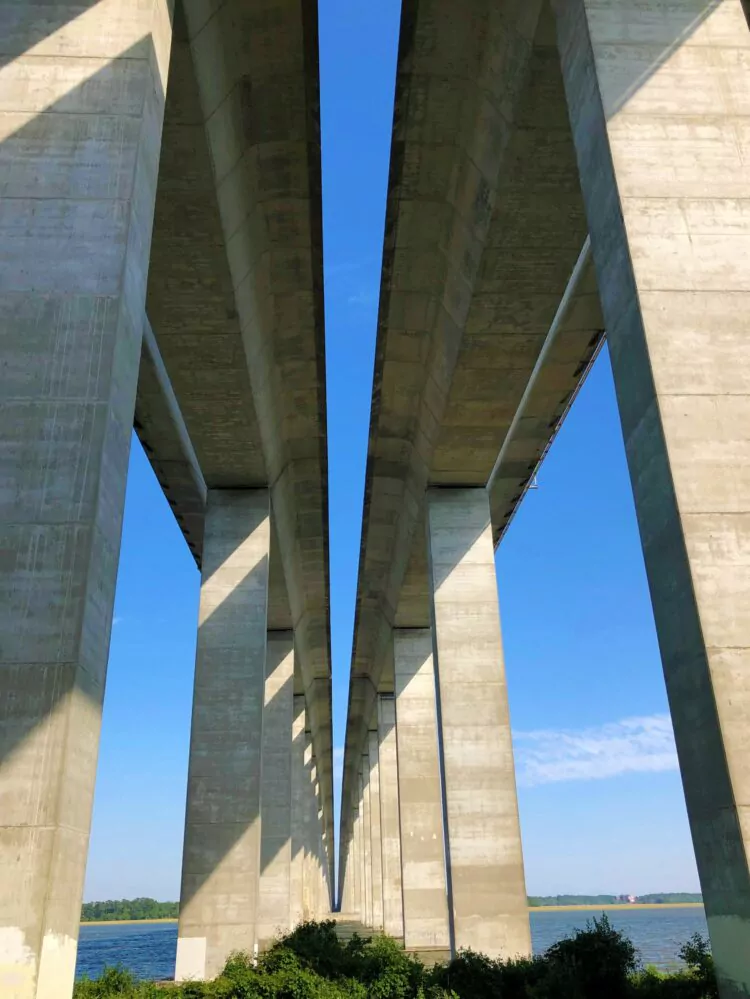 Wando Bridge Overall Photo 4 - Fauteux (3)